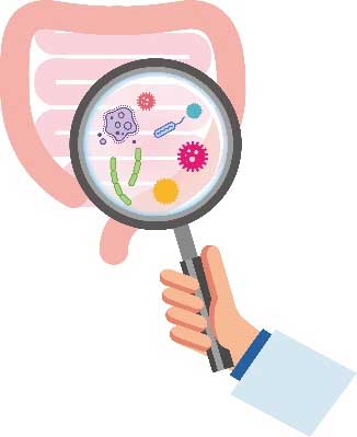 その原因は、あなたの腸内細菌に適した活動ができていないからかもしれません。