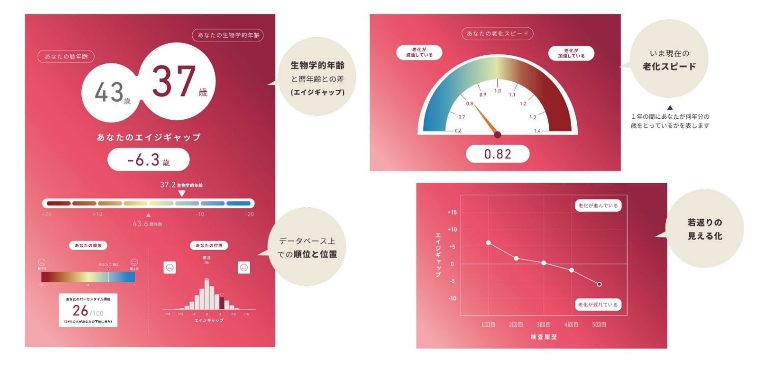 検査レポート