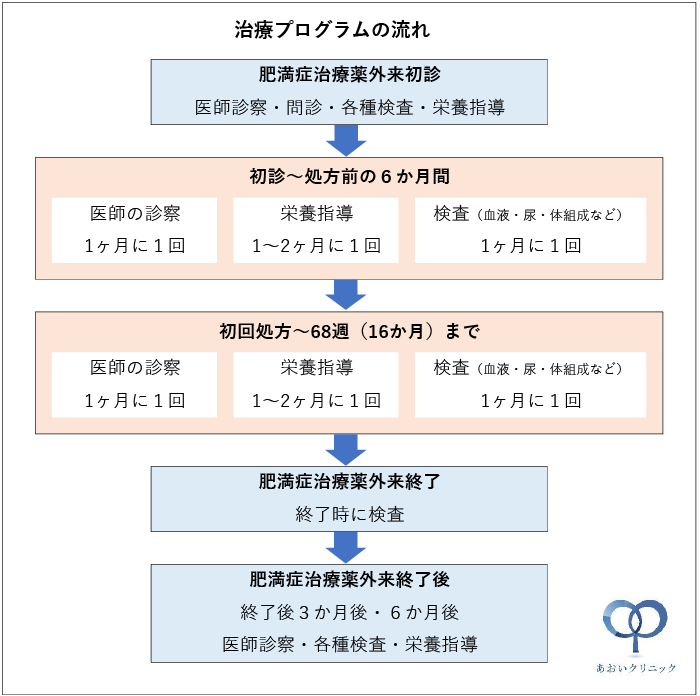 治療プログラムの流れ